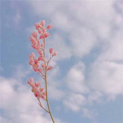 开云电竞手机app下载截图