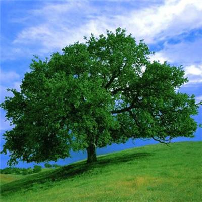 beplayapp下载登录