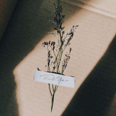 开云电竞手机app下载截图