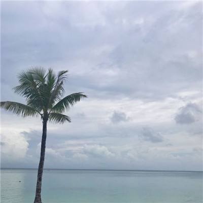 开云电竞手机app下载