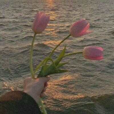 单机的打鱼游戏app下载截图