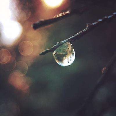 B体育登录APP下载截图